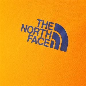 The North Face-Remera-M S/S Velocitee Crew SN