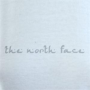 The North Face-Remera-W S/S Beak To Beak Tee FN