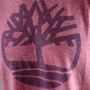 Timberland-Remera-Remera Kennebec River Tree FN