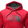 The North Face-Buzos-M SURGENT HALF DOME HOODIE FN