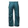 The North Face-Pantalones-M Seymore Pant REG PD