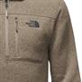 The North Face-Buzos-M GORDON LYONS 1/4 ZIP SN