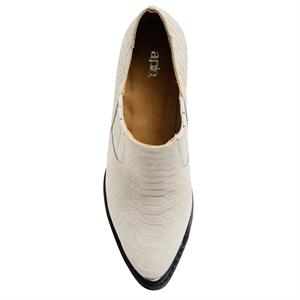 a pie-Botas-Texas AN