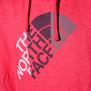 The North Face-Buzos-M Glitch Logo Pullover Hoodie SN
