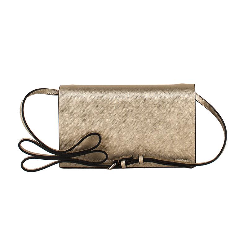 a pie-Cartera-Coquimbo AN