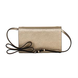 a pie-Cartera-Coquimbo AN