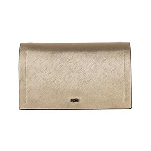 a pie-Cartera-Coquimbo PD
