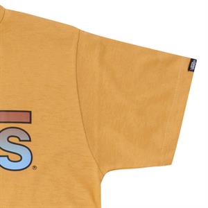 Vans-Remera-Vans Classic Boys SN