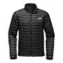The North Face-Campera-M THERMOBALL JACKET PD