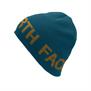 The North Face-Gorros-REVERSIBLE TNF BANNER BEANIE PD