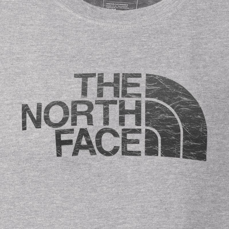 The North Face-Remera-M S/S HALF DOME LOGO FILL TEE SN