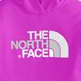 The North Face-Buzos-G Logo Surgent Pullover Hoodie AN