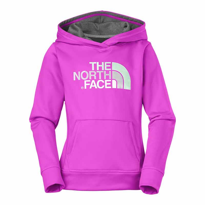 The North Face-Buzos-G Logo Surgent Pullover Hoodie FN