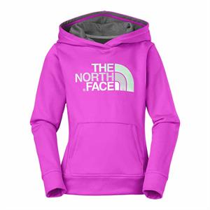 The North Face-Buzos-G Logo Surgent Pullover Hoodie FN
