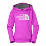 The North Face-Buzos-G Logo Surgent Pullover Hoodie PD