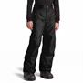 The North Face-Pantalones-B Freedom Ins. Pant SN