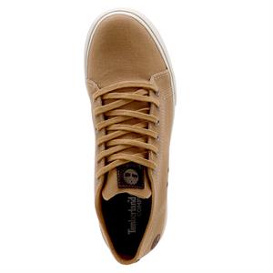 Timberland-Zapatillas-Field Dover 2M FN