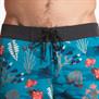 The North Face-Shorts-M CLASS V BOARD SHORT FN