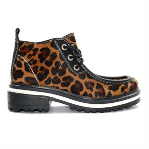 a pie-Borcego-Welly PD