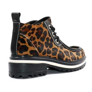 a pie-Borcego-Welly SN