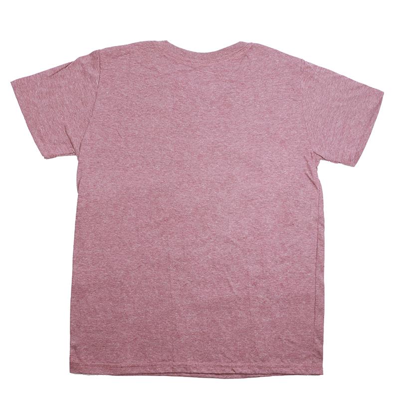 Vans-Remera-Remera Flying V II AN