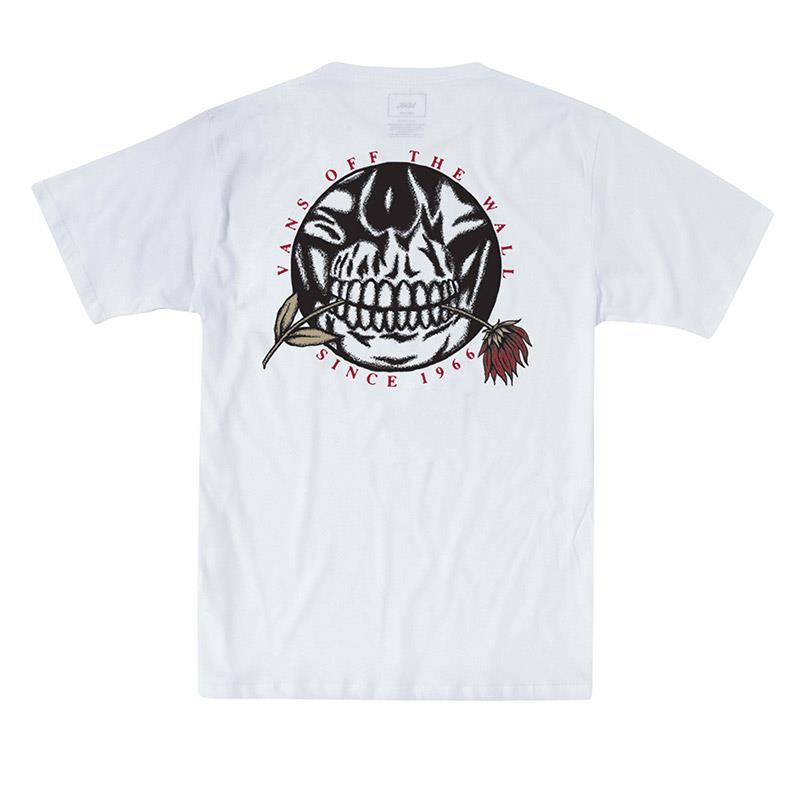 Vans-Remera-Remera Pushing up Daisies Boys - artistica AN