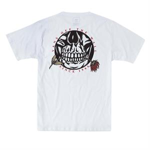 Vans-Remera-Remera Pushing up Daisies Boys - artistica FN