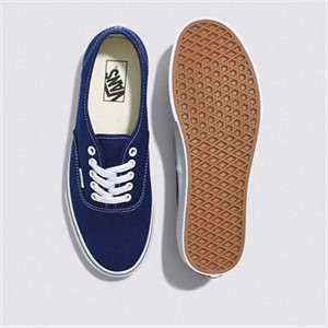 Vans-Zapatillas-U AUTHENTIC SN