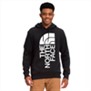 The North Face-Buzos-M 2.0 TRIVERT PO HOODIE PD
