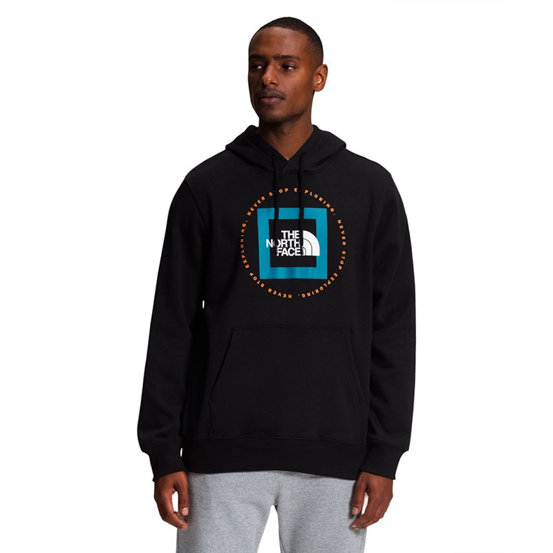 The North Face-Buzos-M GEO NSE HOODIE SN