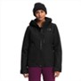The North Face-Campera-W DESCENDIT JACKET PD