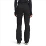 The North Face-Pantalones-W LENADO PANT SN