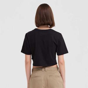 Vans-Remera-Flying V Crew Crop II SN