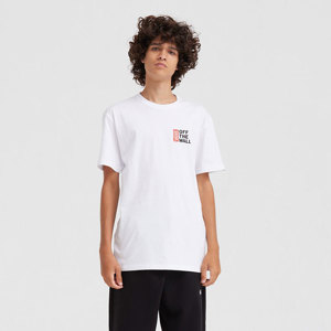 Vans-Remera-Vans Off The Wall Classic SS PD