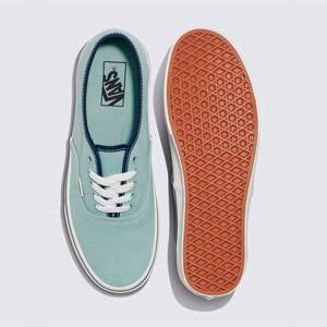 Vans-Zapatillas-U AUTHENTIC AN