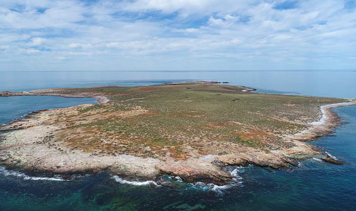 Parque Marino Costero Patagonia Austral