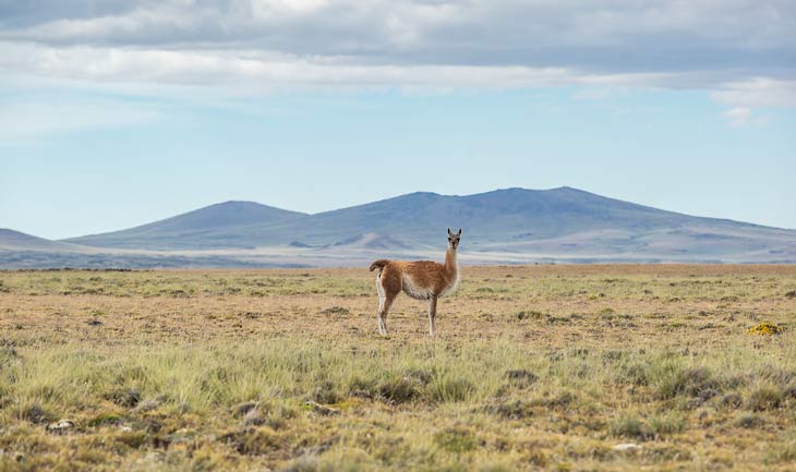 Parque Nacional Patagonia