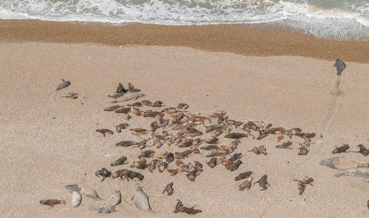 Parque Marino Makenke