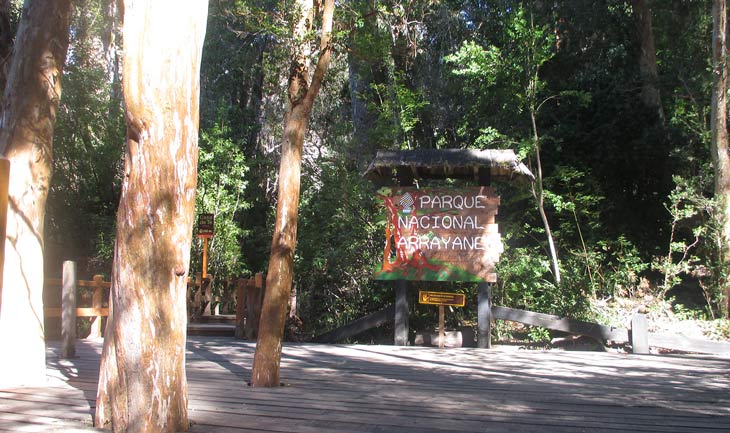 Parque Nacional Los Arrayanes