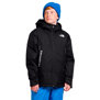 The North Face-Campera-B FREEDOM INSULATED JACKET PD