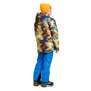 The North Face-Campera-B FREEDOM INSULATED JACKET SN