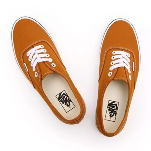 Vans-Zapatillas-U AUTHENTIC SN