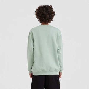 Vans-Buzos-Vans Classic Crew II SN