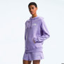 The North Face-Buzos-W BOX NSE PULLOVER HOODIE PD