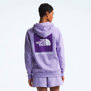 The North Face-Buzos-W BOX NSE PULLOVER HOODIE FN