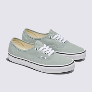 Vans-Zapatillas-U AUTHENTIC AN