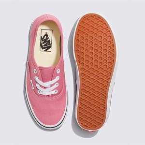 Vans-Zapatillas-U AUTHENTIC AN