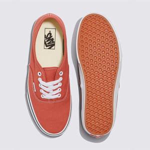 Vans-Zapatillas-U AUTHENTIC SN