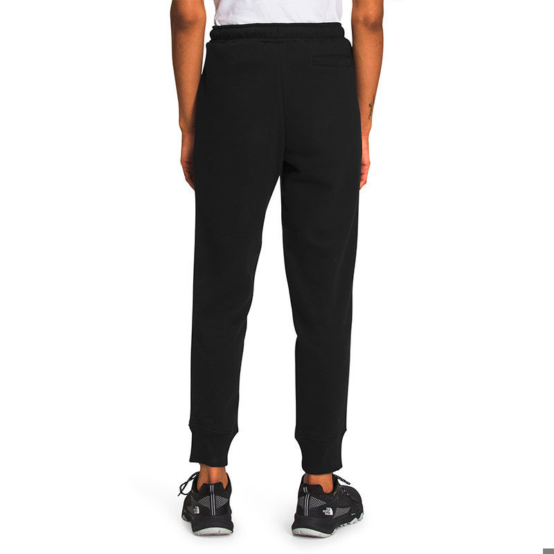 The North Face-Pantalones-W BOX NSE JOGGER SN