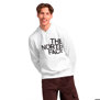 The North Face-Buzos-M BRAND PROUD HOODIE FN